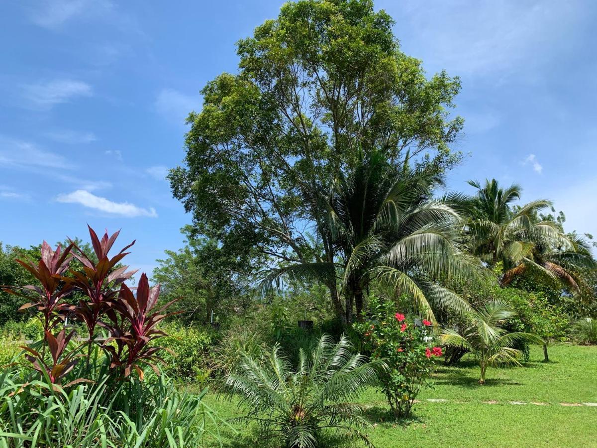 Lovely Garden Villas 珍南海滩 外观 照片