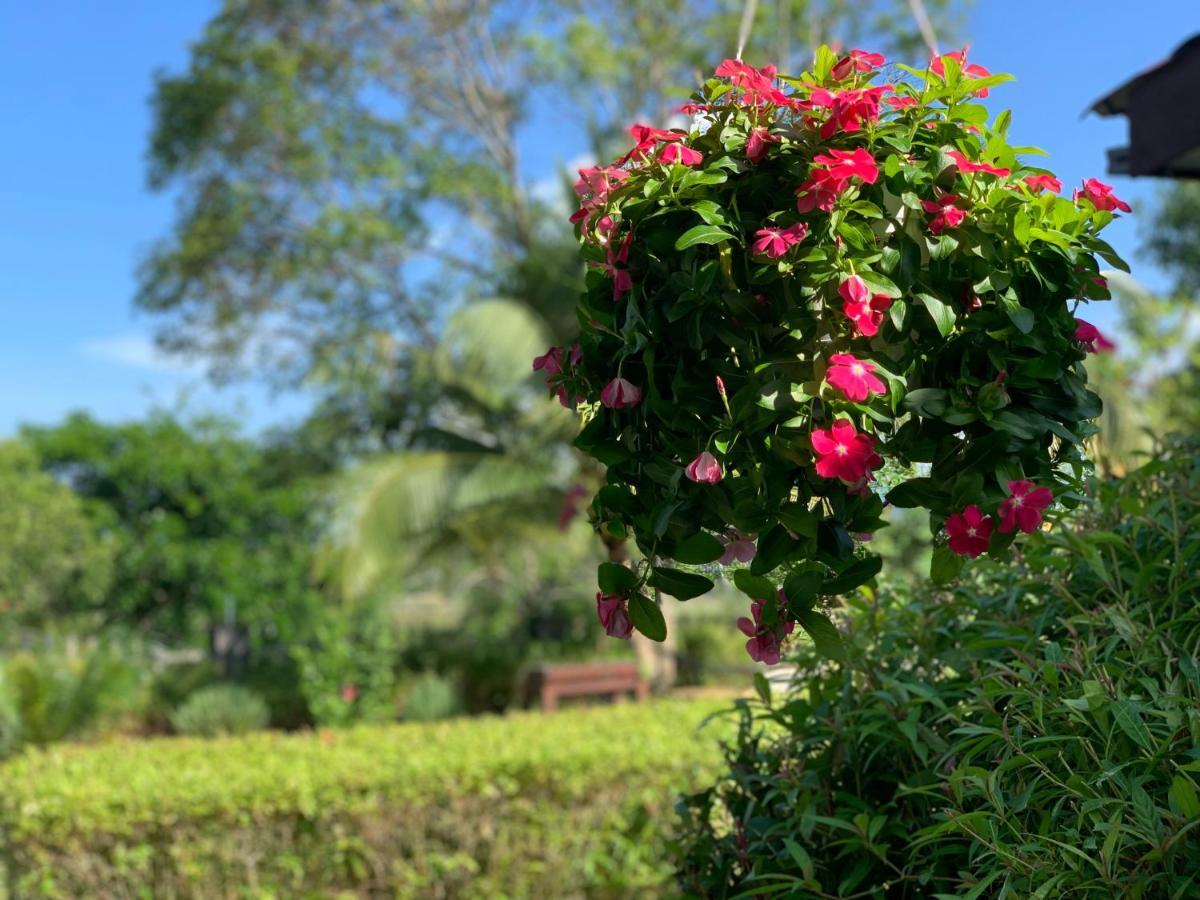 Lovely Garden Villas 珍南海滩 外观 照片