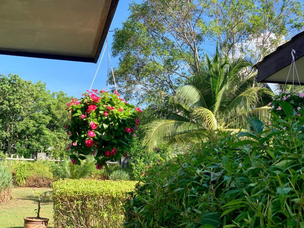 Lovely Garden Villas 珍南海滩 外观 照片